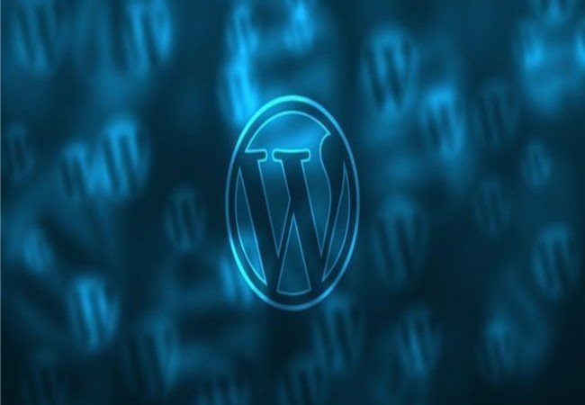 wordpress hizmetleri